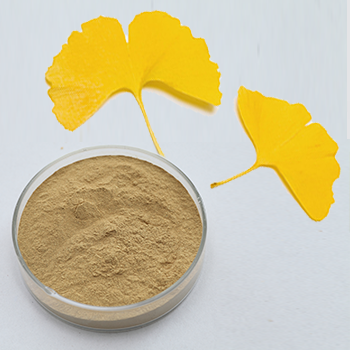 Amino Acid